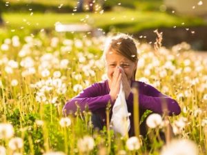 Scopri di più sull'articolo Allergie e rimedi naturali