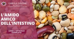 Scopri di più sull'articolo L’amido amico dell’intestino