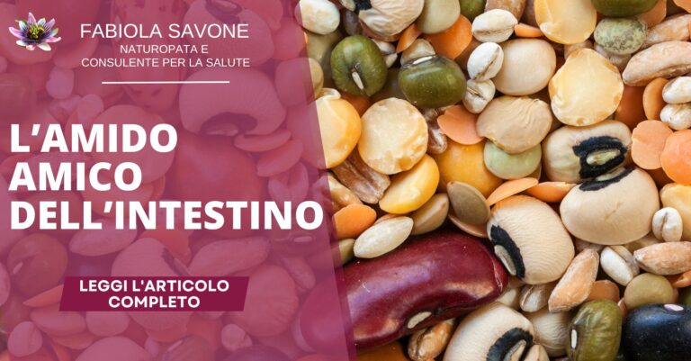 Scopri di più sull'articolo L’amido amico dell’intestino